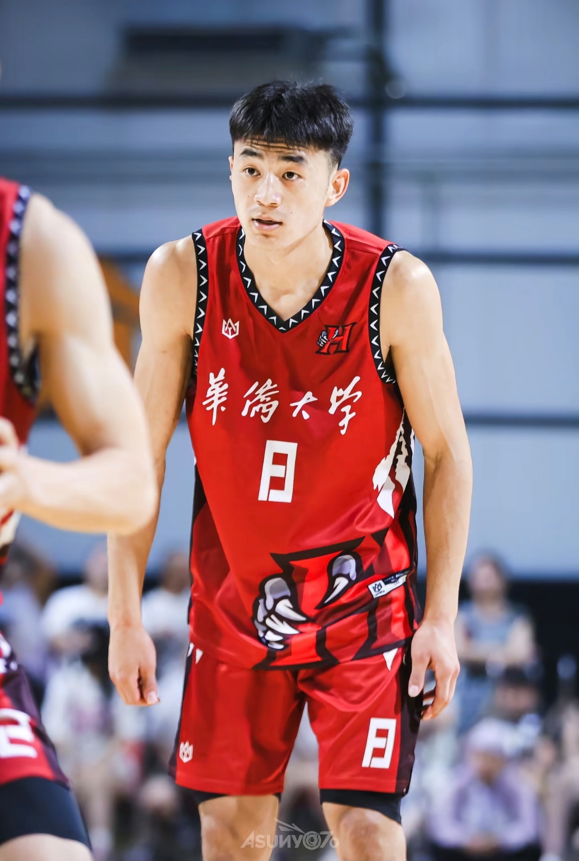 包含宁夏男篮击败对手,展示出色实力的词条 包含宁夏男篮击败对手,展示出色实力的词条