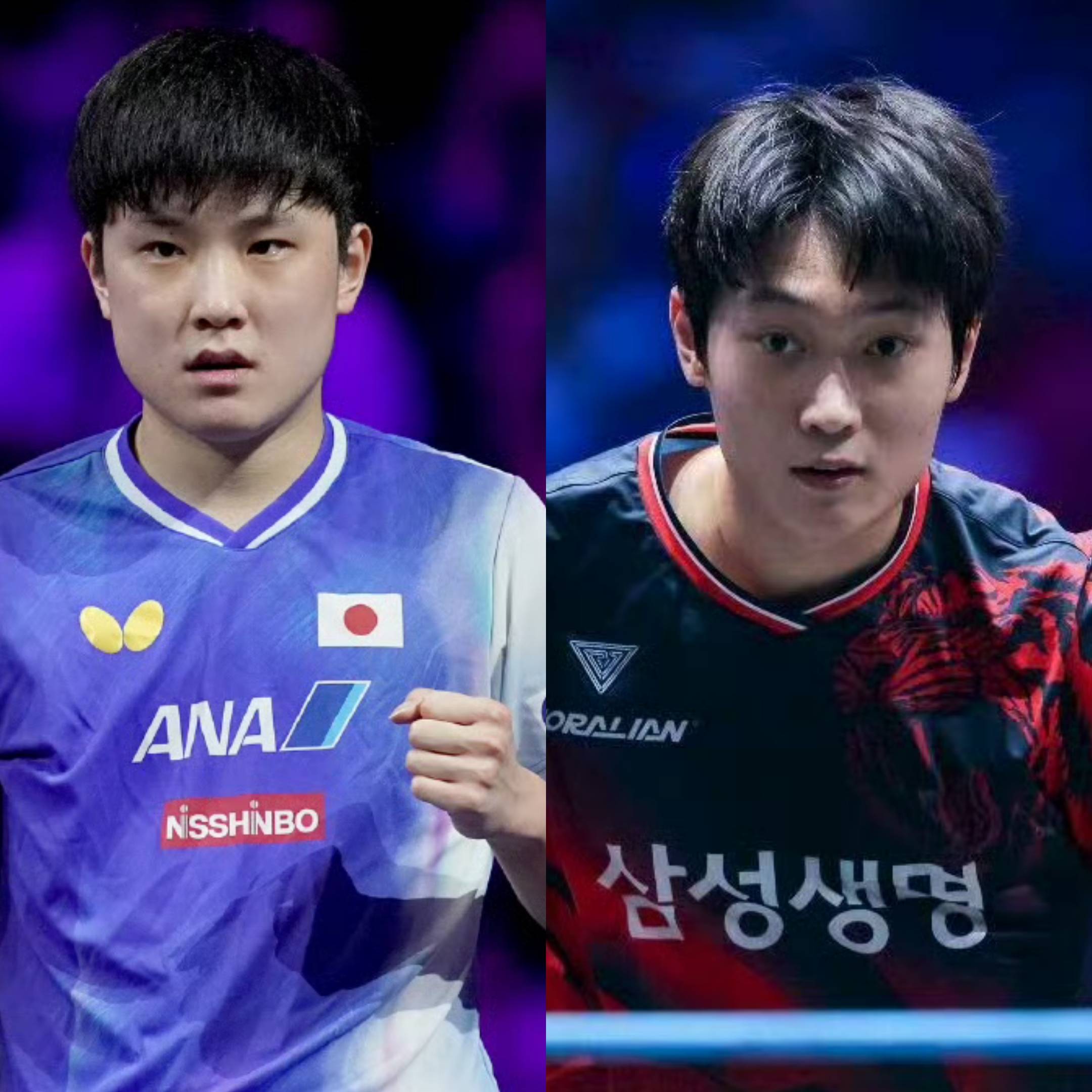 包含中国队险胜波兰队,张本智和高光表现的词条 包含中国队险胜波兰队,张本智和高光表现的词条