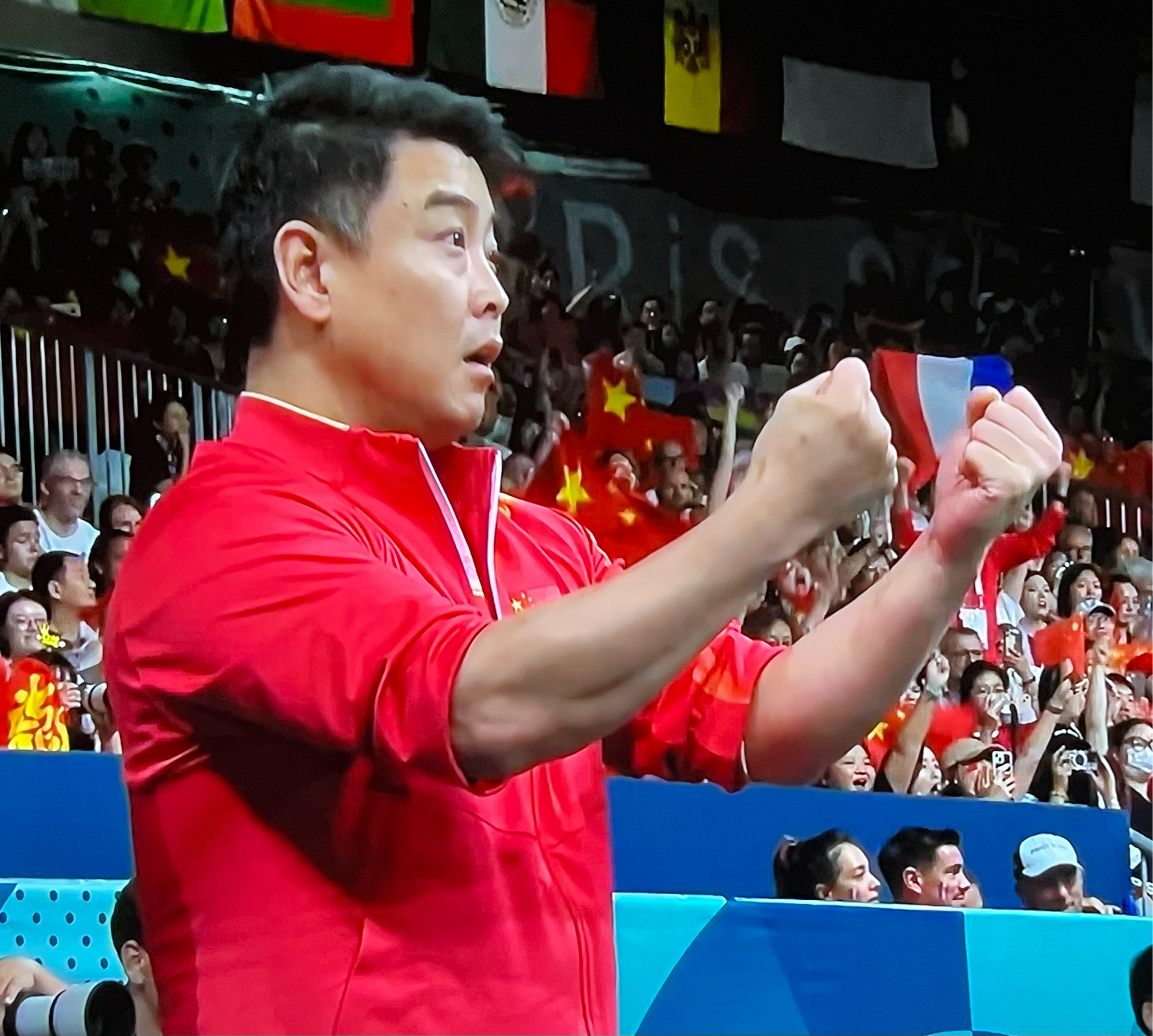 关于日本乒乓球队逆转中国乒乓球队，王皓爆发神勇的信息